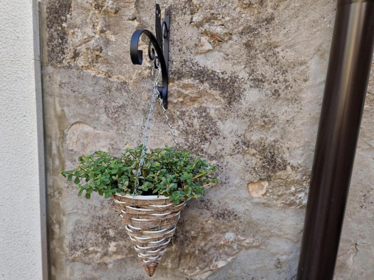 Castel Lägenhet Mali Lošinj Exteriör bild