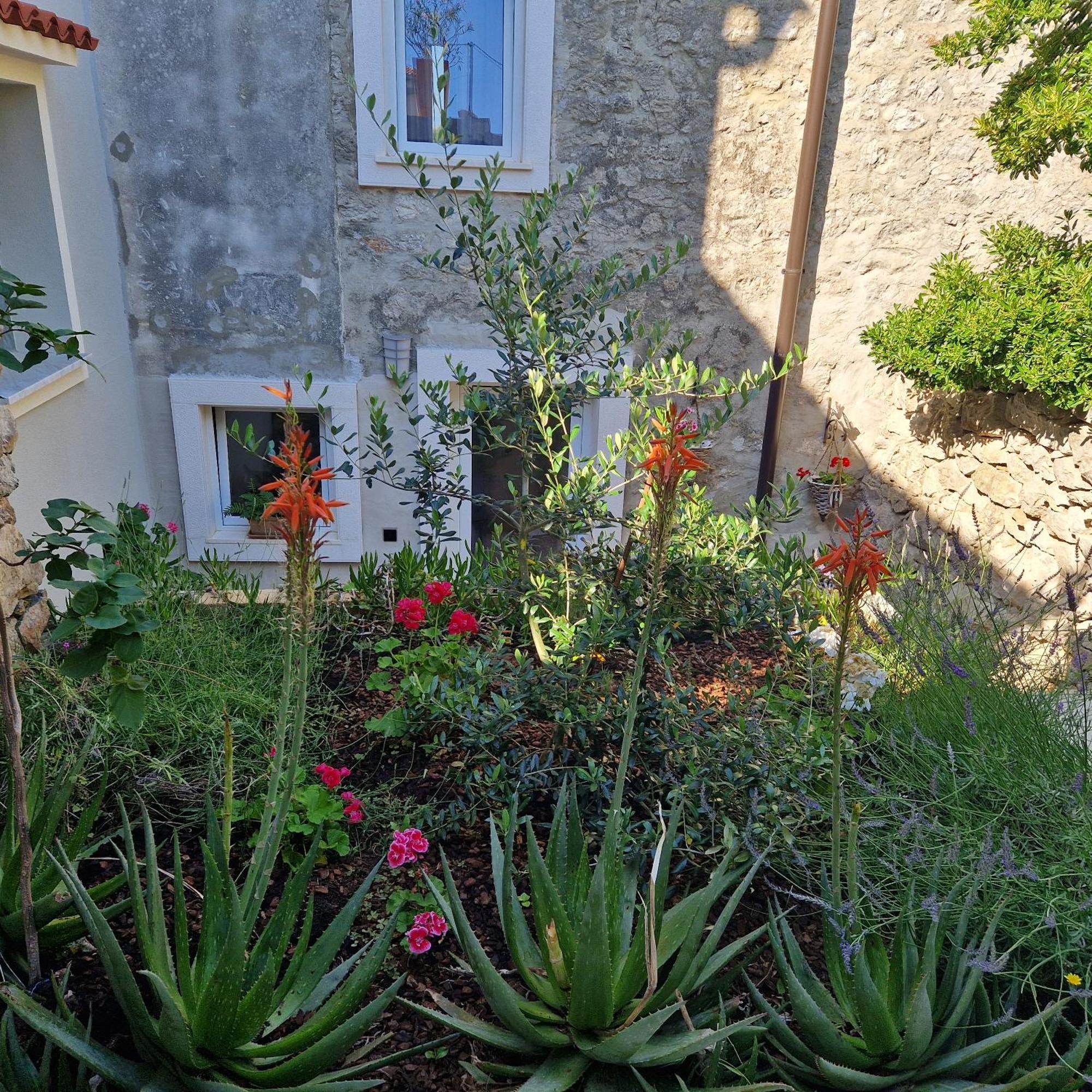 Castel Lägenhet Mali Lošinj Exteriör bild